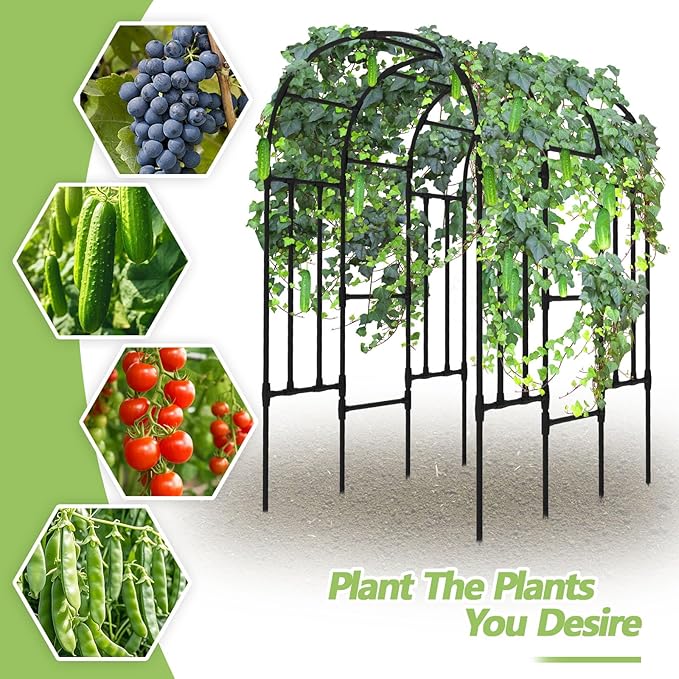 Trellis for Climbing Plants Outdoor - Cucumber Trellis for Raised Bed Size:71 * 47 * 79 inch Garden Trellis for Climbing Plants Cucumber Vegetable Tomato Flowers