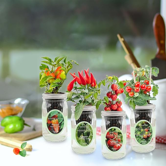 Hydroponic Herb Growing Kit Set Self-Watering Mason Jar Herb Garden Starter Kit Indoor Grow 4 Kinds of Herbs from Seeds (2 Tomato &amp 2 Pepper)