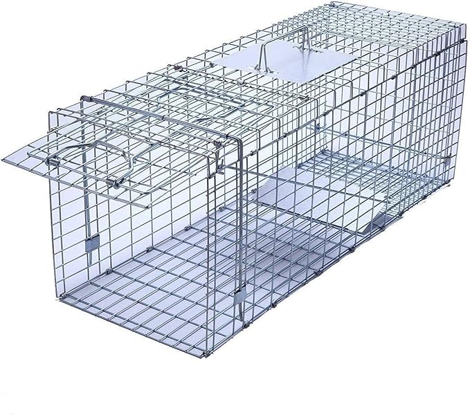 Faicuk Large Collapsible Humane Live Animal Cage Trap for Raccoon Opossum Stray Cat Rabbit Groundhog and Armadillo 32 x 11 x 13 Inch