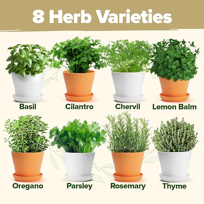 HOME GROWN Gift Herb Kit – 8 Herb Seeds Set with Basil Cilantro Mint &amp More Complete Indoor Grow Kit for Kitchen Gardening Gifts for Women &amp Men Ideal for Cooking &amp Home Décor