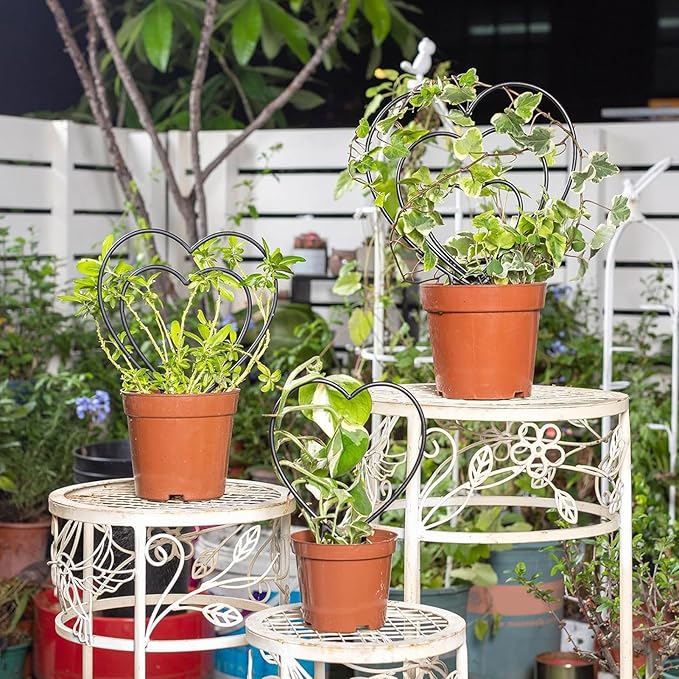 Plant Trellis Indoor - Metal Vine Support Decoration | Plant Trellis Outdoor - for Family Beginner Home Gardening Pairing Indoor House Wedding Vegetable