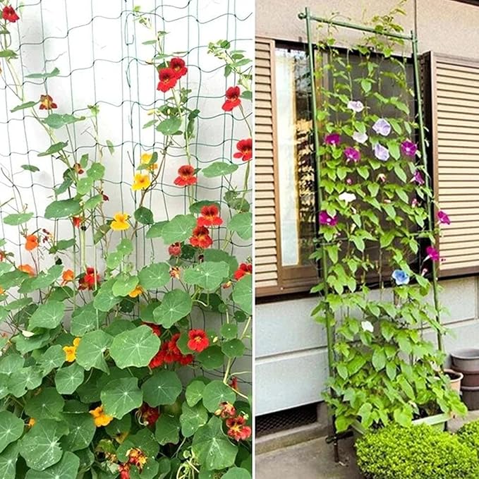 Garden Trellis for Climbing Plants | Climbing Plant Support Obelisk - Tomato Trellis - for Bean Flowers Fruits Grape Pea Squash Tomato Vegetables Vine