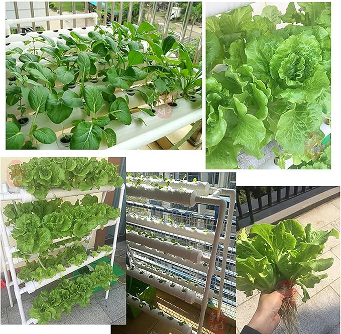 54 Holes Hydroponic Piping Grow Kit Planting Tools Gardening System Nursery Pot Hydroponic Soilless Plant Growing Systems Vegetable Planting Grow Kit Rack