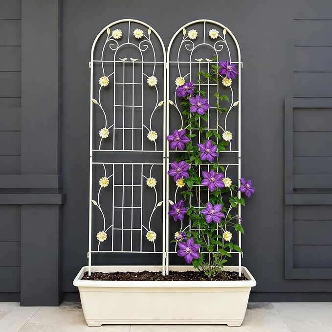 2 Pack Large Garden Trellis 71 H x 19.7 W Heavy Duty Rustproof White Iron Plant Trellis for Potted Plant Support Metal Climbing Rose Trellis Vine Vegetable Cucumber