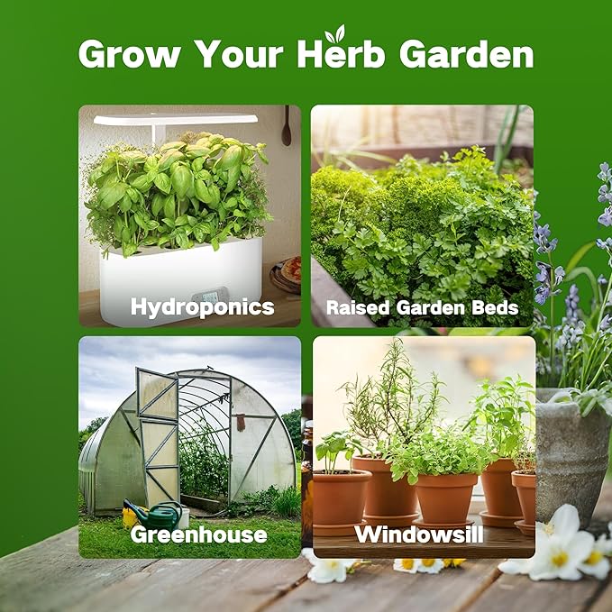 Lush&ampDew Ancestral Apothecary Medicinal Tea Herb Seed Chest 36000+ Non-GMO Survival Seed Kit Gardening Gifts for Women Men 40 Types Heirloom Garden Seeds for Planting Herbs Raised Bed Windows