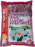 Japanese Tropical Orchid Potting Mix for Cattleya Cymbidium Dendrobium 6L