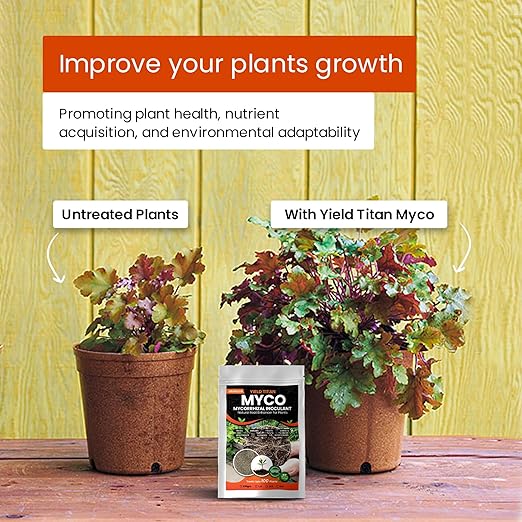 MYCO MYCORRHIZAL INOCULANT Root Enhancer for Bigger Stroger &amp Healthier Plants Roots - Organic Mycorrhizae Root Enhancer - Increases Nutrient Absorption &amp Crop Yields (2LB)