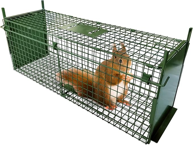 ARIFARO Animal Cage Trap (31 L x 10 W x 11 H) Humane Live Cage Trap Double-Door Metal Capture Cage for SkunksRaccoonsRabbitsStray CatsSquirrelsMolesGophers