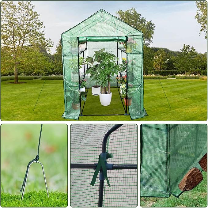 Walk-in Greenhouse for Outdoors Small Green House Outdoor with 3-Tier Shelves Roll-Up Zippered Door &amp Mesh Window All-Season Plant House for Vegetables Herbs Flowers for Patio Backyard Gardenin