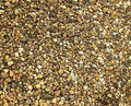 Genuine Japanese Kiryu Soil for Pines &amp Junipers Bonsai Tree - Small Grain 2.5 quarts
