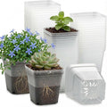 60 Pcs Clear Square Nursery Pots 4 Inch Reusable Seedling Pots with Drainage Holes Transparent Small Plant Potting Pot Containers for Seedlings Microgreens Flowers Indoor Gardening