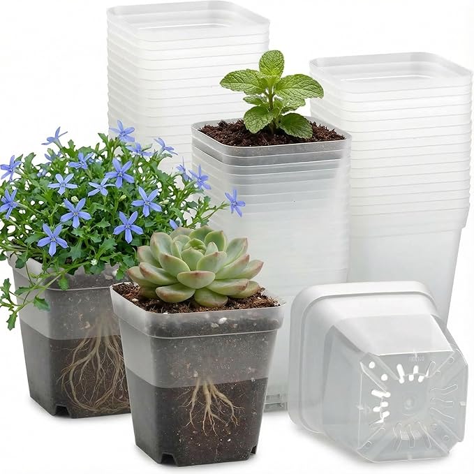 60 Pcs Clear Square Nursery Pots 4 Inch Reusable Seedling Pots with Drainage Holes Transparent Small Plant Potting Pot Containers for Seedlings Microgreens Flowers Indoor Gardening