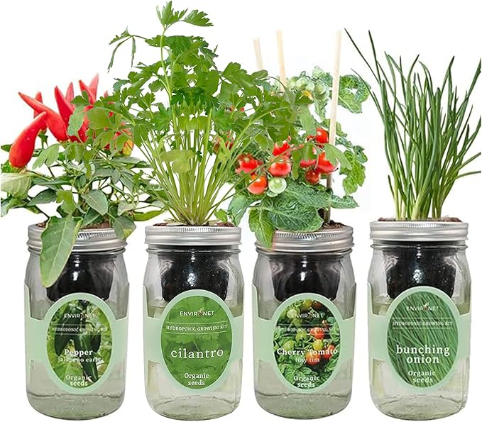 Hydroponic Mason Jar Indoor Garden Organic Seed Starter Kits - Zesty Salsa Growing Kits Gardening Gift (Jalapeno Pepper Cilantro Cherry Tomato - Tiny Tim Bunching Onion)