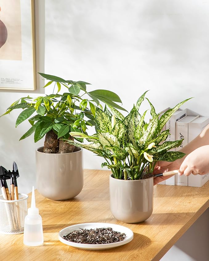 vancasso Ceramic Plant Pots 4+5+6 inches Set of 3 Planters with Drainage Hole Flower Pots Planters Pots for Indoor Plants Modern Indoor Decorative Garden Pot Home Decor Gray