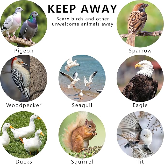 Bird Repellent Devices Kit14 PieceReflective Scare Rods Bird Scare Tape Discs Heart Wind Spinners Keep Woodpeckers Pigeons &amp Geese Away Effective Hanging Decor for Patio House Siding