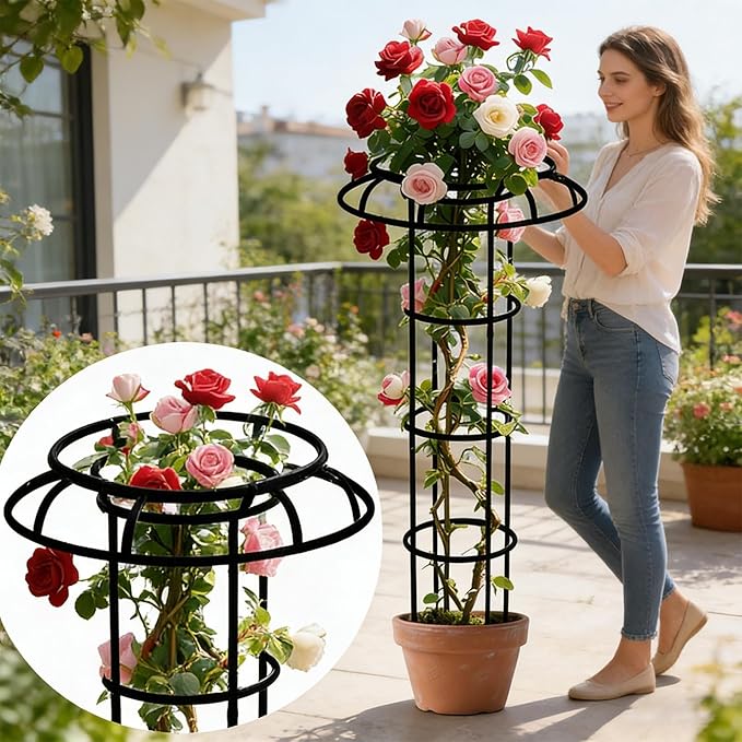 Garden Trellis - Vertical Umbrella Shape Plant Support for Climbing Plants | All Weather Outdoor Frame Decorative Structure Stable Ground Placement &amp Space Saving Growth Guide for Vines Flowers