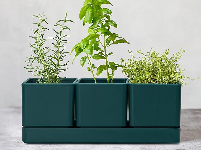 D'vine Dev Herb Garden Planter Set Plastic Plant Pots with Drainage and Saucer Indoor Succulent Cactus Vegetable Pot for Windowsill Garden Balcony Green Set of 1 76-V-C-1
