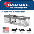 Havahart Small 1-Door Humane Live Catch and Release Animal Trap for Squirrels Weasels Chipmunks and Other Animals - Humane Catch and Release for Small Animals - 1026