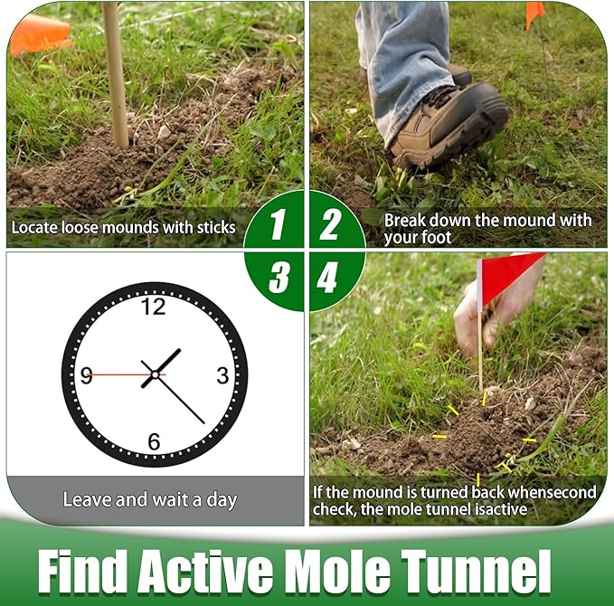 2 Pack Mole Traps That Kill Best Vole Traps Outdoor Use Scissor for Lawns Mole Trap Easy to Set Galvanized Steel Reusable Quick Capture Gopher
