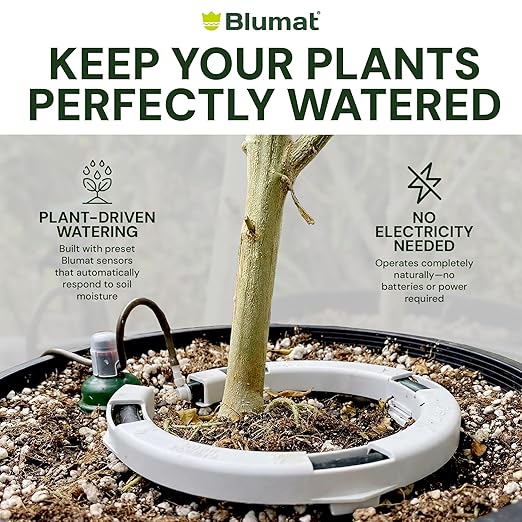 Grow Tent Drip Irrigation System - Blumat Watering Kit for 1 Extra Large Pot (30-90 Gallon) - Automatic Grow Tent Watering System with Efficient Preset Blumat Sensors (Bucket not Included)