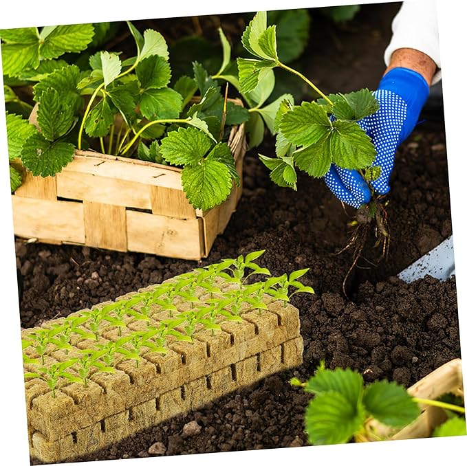 100Pcs Plant Grow Cubes Starter Plugs for Hydroponics Soilless Culture Propagation Material for Indoor Gardening High Germination Rate for Plant