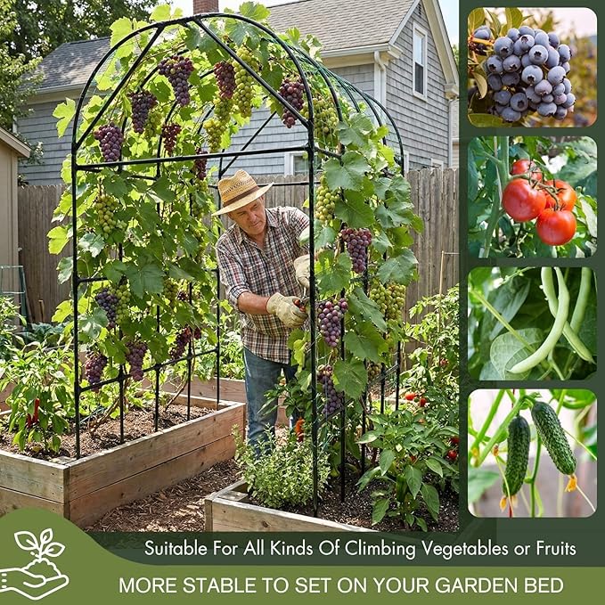 Garden Trellis Arch 7FT Tall – Plastic Coated Metal Arch Trellis for Climbing Plants Outdoor Weather-Resistant Steel Garden Arch for Vegetables Cucumber Tomato Raised Bed Trellis