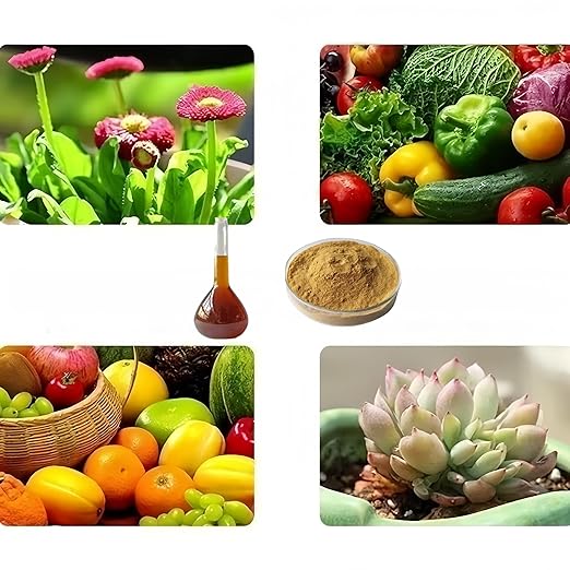 Chitosan OligosaccharideAgricultural Grade Water-SolubleFertilizer for Plants Fruits and Vegetables (100g/3.5oz)