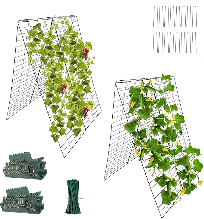 Garden Cucumber Trellis A-Frame Folding Plant Trellis 48 Inch by 34 Inch for Climbing Vegetables Flowers Green 2 Pack with ClipsCable Ties and Ground Stakes