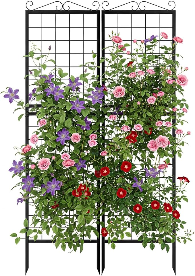 DoCred 2 Pack Garden Trellis for Climbing Plants 71 Inch Metal Plant Trellis for Plant Support Large Decorative Outdoor Trellis for Climbing Vegetable Flower Rose Vine Cucumber Black Square Grid