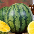 Yellow Gem Sweet Watermelon Seeds - 1 Lb ~6400 Seeds - Non-GMO - Fruit &amp Vegetable Garden - Citrullus lanatus