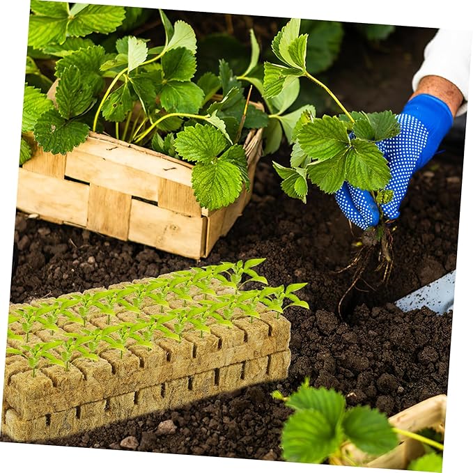 100pcs Hydroponic Kit Seeding Cubes for Plant Propagation Soft Texture Sufficient Quantity Plant Start Plugs