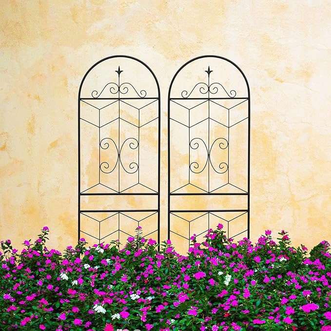 2 Pack Large Garden Trellis Heavy Duty Rustproof Iron Plant Trellis for Potted Plant Support Metal Climbing Rose Trellis Vine Vegetable Cucumber Black -71 H x 19.7 W