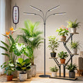 Grow Lights for Indoor Plants with Stand 4-Heads Full Specturm Plant Grow Light with 4/8/12/16H Timer 3 Color Modes 360° Flexible Gooseneck 24-68.7in Hight Adjustable Grow Lamp Black