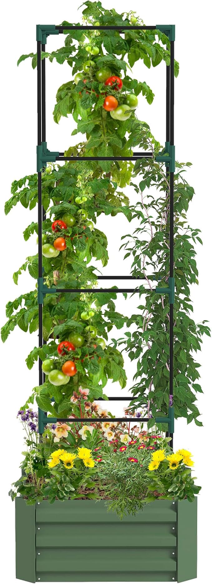 Galvanized Raised Garden Bed 24 x 24 x 11.75 Outdoor Planter Box with Trellis Tomato Cage and Open Bottom for Climbing Vines Vegetables Flowers in Backyard Garden Patio Green