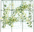 Garden Arch Tunnel Trellis for Climbing Plant Outdoor Garden Trellis Arch 3.94 FT Tall Arch Trellis for Climbing Plants Detachable Garden Tunnel with Netting