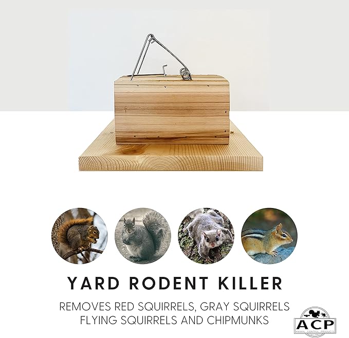 Squirrel Trapping Starter Kit | All You Need to Get Rid of Squirrel Chipmunk Removal in Home Bird Feeder Attic Yard | Little Killer Choker Style Trap + Squirrel Butter + Jelly + Trail Mix Baits