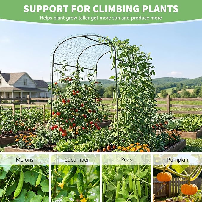 DoCred Tall Garden Arch Trellis for Climbing Plants 83 Inch Tall Metal Plant Support Trellis Archway for Climbing Vine Vegetable/Fruit/Flower Outdoor Yard Lawn Garden Arch Tunnel Trellis