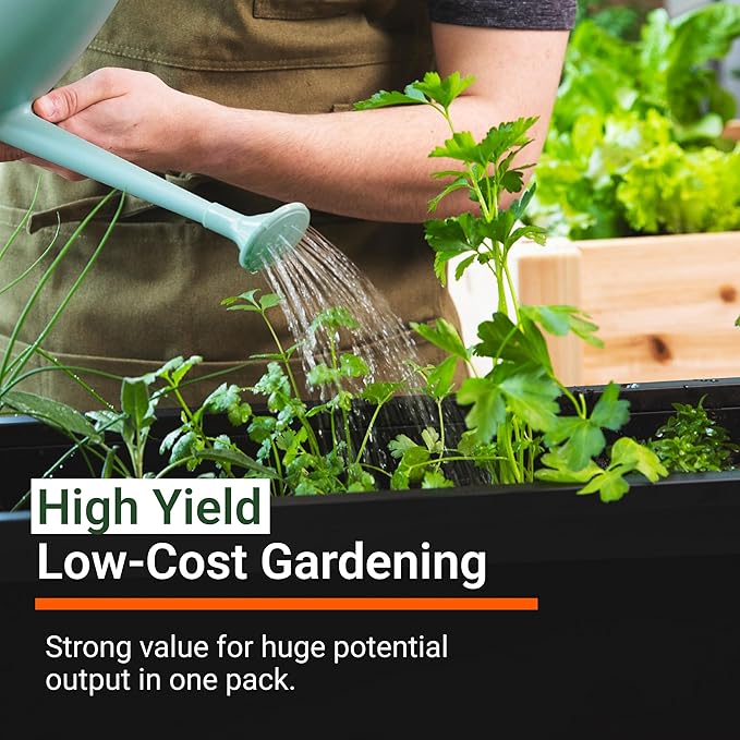 Open Seed Vault |15000 Heirloom Seeds | 32 Seed Types | Survival Seeds | 2026 Season | Non GMO Vegetable and Fruit Seeds | Planting Outdoor &amp Indoor Garden