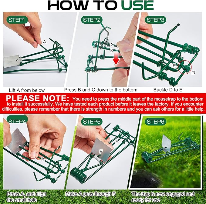 Qualirey 8 Pcs Gopher Trap with Chain Mole Vole Trap Gopher Killer Stainless Steel Weather Resistant for Lawn Garden Farm Outdoor (Green)