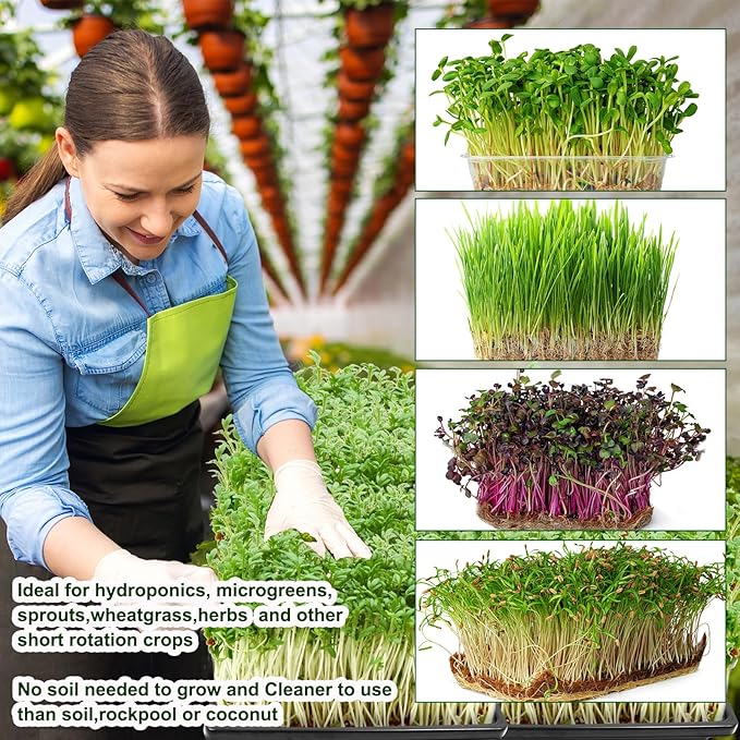 64PCS Microgreens Kit 5 X 5 Hydroponic Sprouting Pads Microgreen Grow Mat Indoor Organic Production for Microgreen Starter Tray Wheatgrass Sprouts