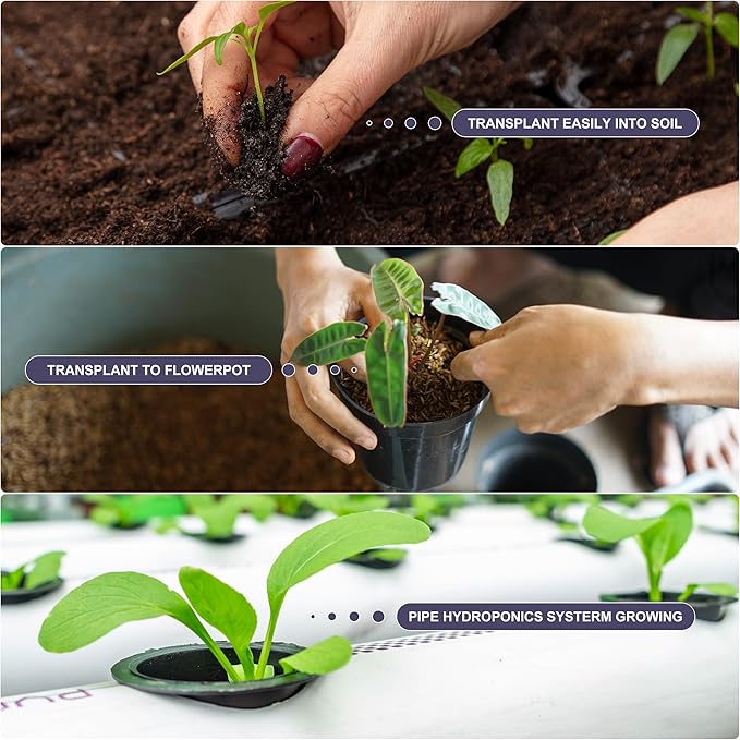 100 Pack Hydroponics Grow Sponges - Replacement Root Growth Sponge Seed Pods for Hydroponic Garden Indoor Growing System Seed Starter Sponges Pod Kit with 100 Labels and 1 Tweezers