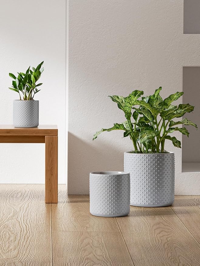 LE TAUCI Ceramic Pots for Plants 10/8/6 Inch Indoor Planters with Draiange Hole Silicone Plug &amp Mesh Pad Modern Rasied-Dots Pots for Home Office Set of 3 Glossy Star Gray
