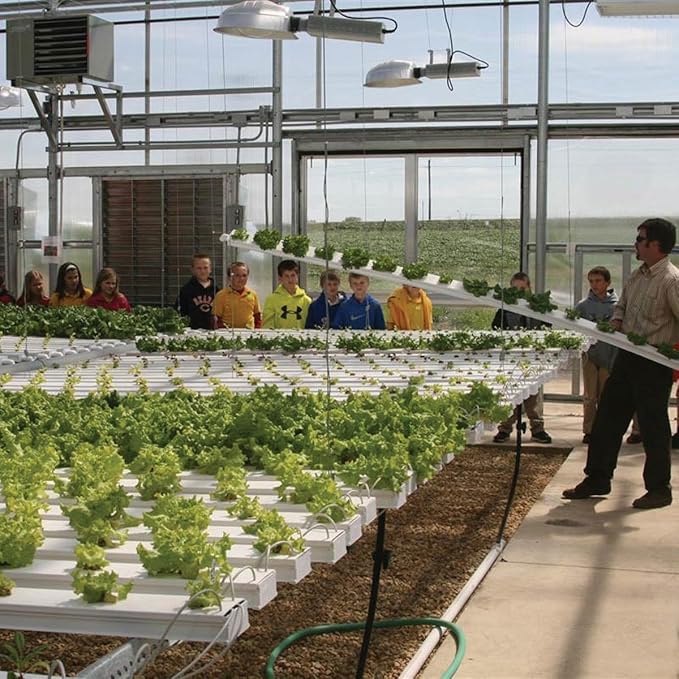 Hydroponic Salad Crop Production Guide