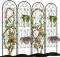 Garden Trellis 4PCS Metal Trellis for Climbing Plants &amp Vegetables22 W x 75 H Decorative Trellis Panel with Scroll Design Rust-Resistant Plant in Yard Patio