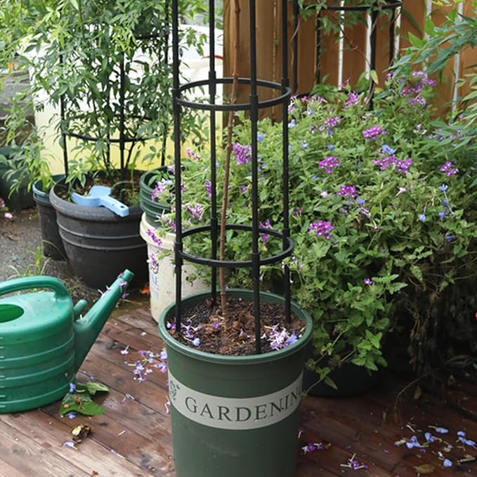 Umbrella Shape Metal Garden Trellis 61 Inch Rustproof Obelisk for Climbing Roses &amp Outdoor Plants