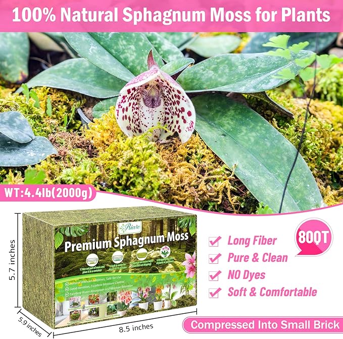Riare 4.4LBS Premium Sphagnum Moss for Plants- 80QT Natural Dried Plant Moss for Potted Plants Orchid Moss for Repotting Soft Green Decorative Moss for Succulents Reptiles &amp DIY Crafts