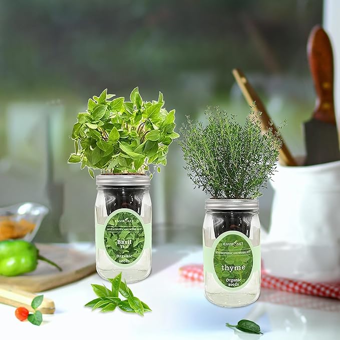 2-Pack Hydroponic Mason Jar Herb Garden Kit Indoor Herb Garden Self-Watering Starter Kit New Christmas Gift for Mom (ThymeThai Basil)