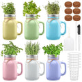 Vesici 6 Set Hydroponic Mason Garden Jar Kit Self Watering Herb Hydroponic Planter Starter Kit with Net Pot for Indoor Herbs Windowsill Garden Flower Plant Growing Germination