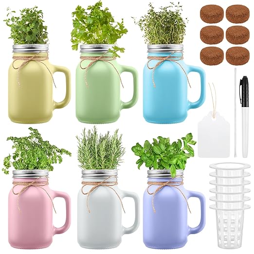 Vesici 6 Set Hydroponic Mason Garden Jar Kit Self Watering Herb Hydroponic Planter Starter Kit with Net Pot for Indoor Herbs Windowsill Garden Flower Plant Growing Germination