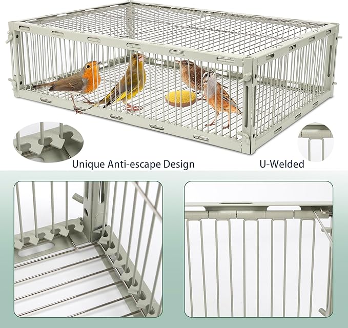 Universal Sparrow Trap Cage – Birds Trap Cage with Escape-Proof Design One Way Bird Catcher Traps for Starlings Quail Cardinals and So OnMade from Rust-Resistant Metal for Long-Lasting Use